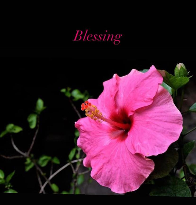 شقة Blessing House نابولي المظهر الخارجي الصورة